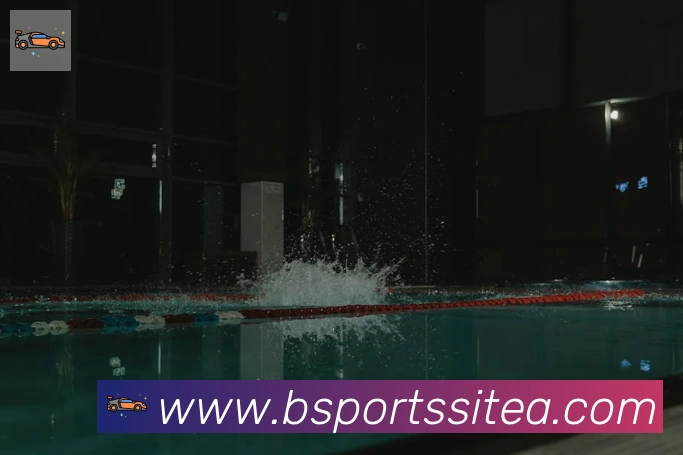 BSPORTSAPP 封面图